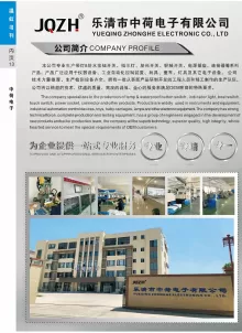 乐清市中荷电子有限公司1
