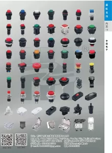 乐清市中荷电子有限公司2