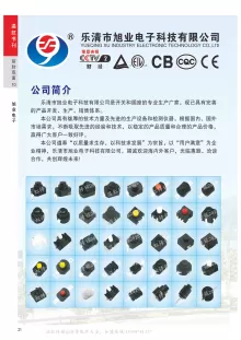 乐清市旭业电子科技有限公司1