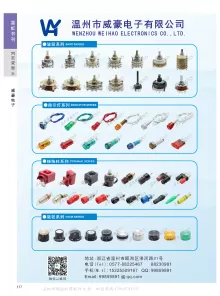 温州市威豪电子有限公司2