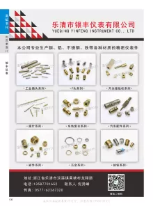 乐清市银丰仪表有限公司2