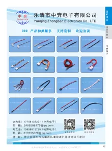 乐清市中奔电子有限公司