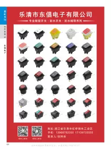 乐清市东倡电子有限公司2