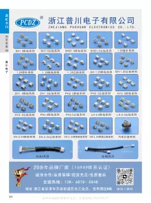 浙江普川电子有限公司2