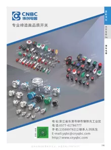 乐清市博创电器有限公司2