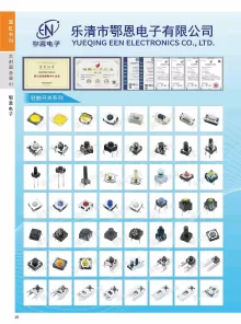 乐清市鄂恩电子有限公司3