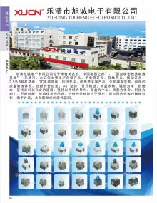 乐清市旭诚电子有限公司2