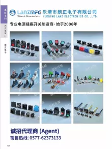 乐清市朗正电子有限公司2