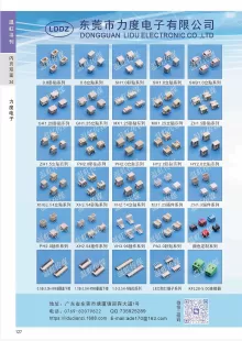 东莞市力度电子有限公司2