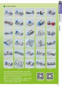 温州市柏金电子有限公司2