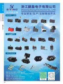 浙江嗣盈电子有限公司2