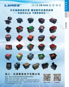 乐清雷亚电子有限公司1