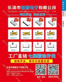 乐清市精顺电子有限公司1