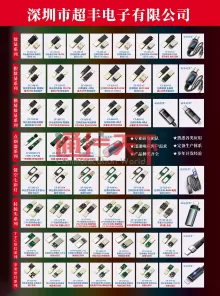 深圳市超丰电子有限公司 2