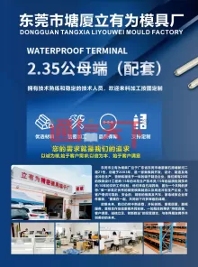 东莞市塘厦立有为模具厂1