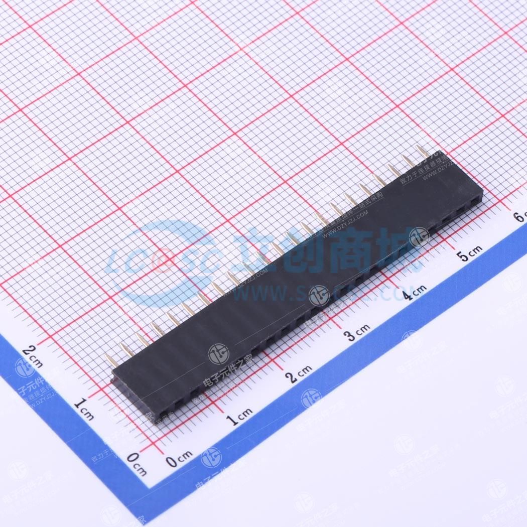 间距:2.54mm 1x22P 直插