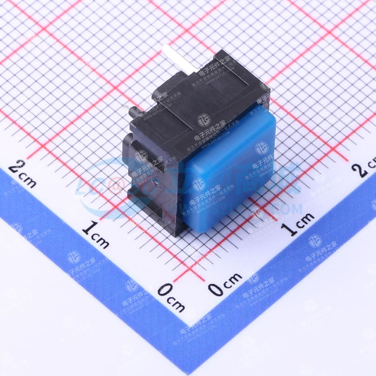 12.45*12.45*10mm 直插 轻触开关