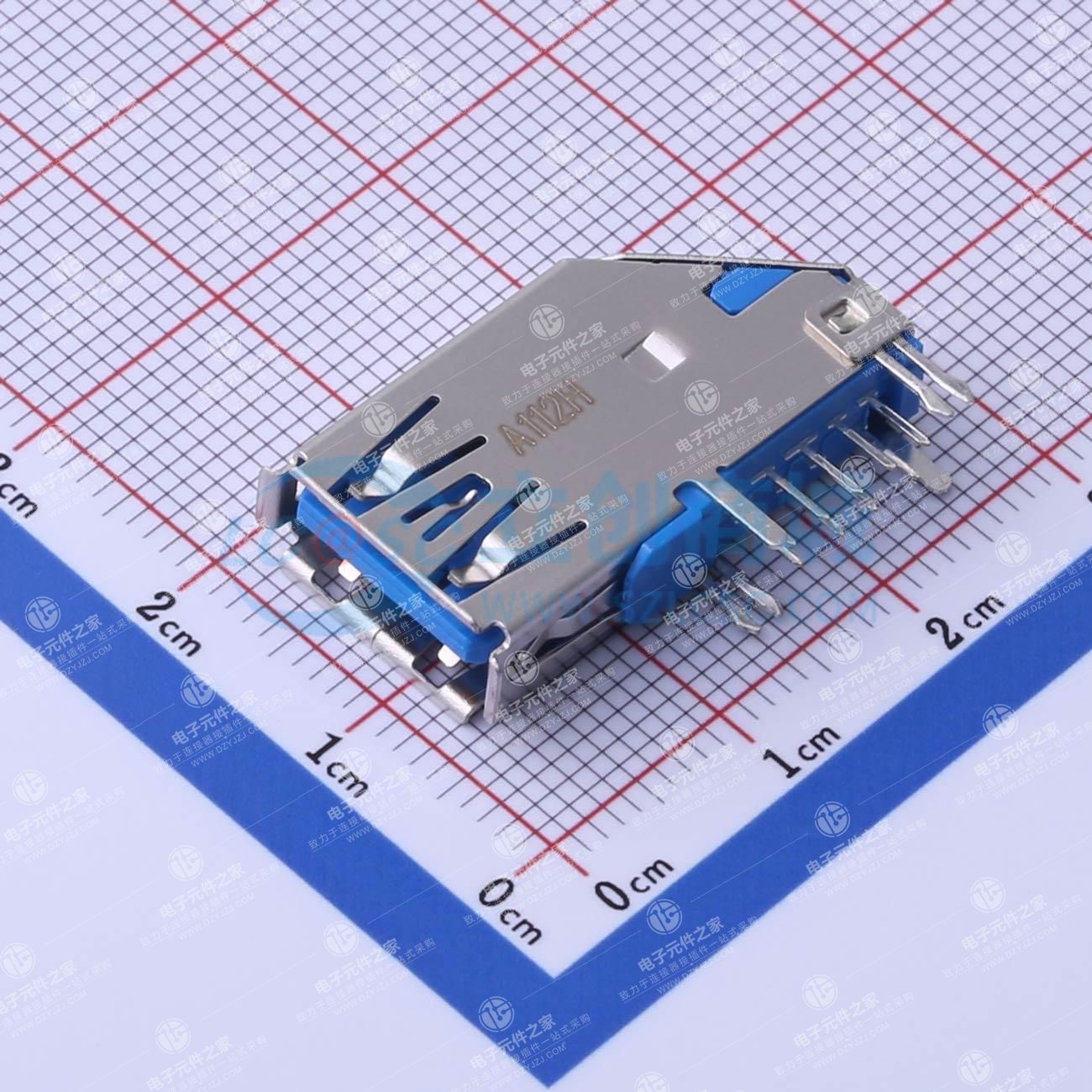 Type-A 母 侧插
